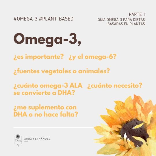 Omega 3- dieta vegana