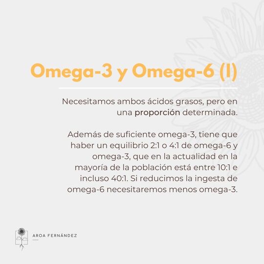 Omega 3 y Omega 6 - dieta vegana