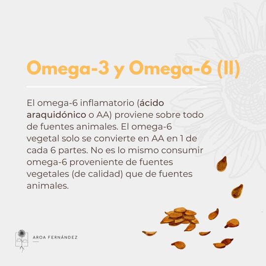 Omega 3 y omega 6- dieta vegana