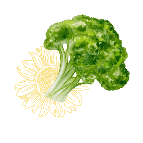 crucíferas como el brócoli para prevenir y tratar el cáncer