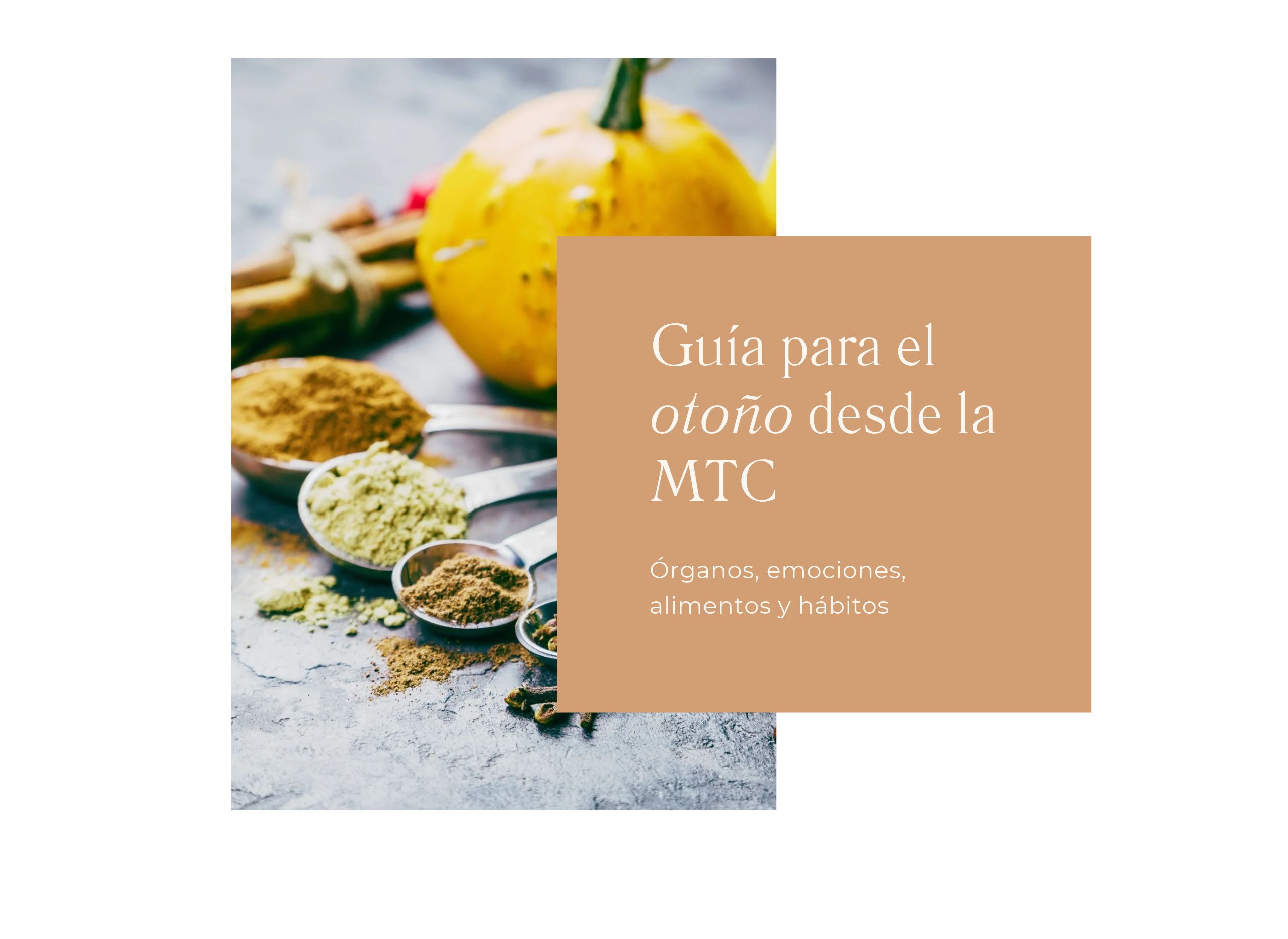 Calabaza y especias en cucharas medidoras: guía para el otoño según la Medicina Tradicional China